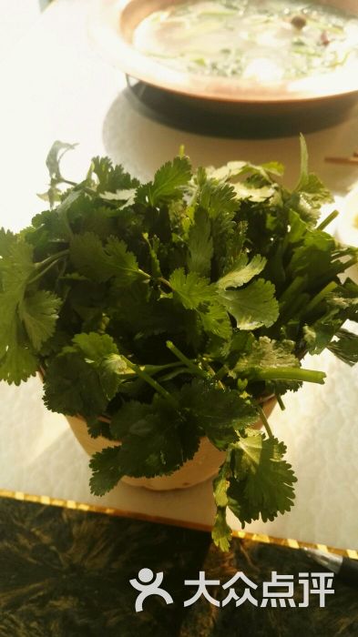 枫火牧歌特色火锅香菜图片 - 第9张