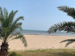 -巨鹏飞梦幻海岸