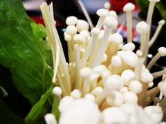 -渡娘火锅(大兴大悦春风里店)