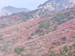 -少华山国家森林公园