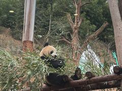 -乐和乐都主题乐园