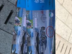 -广东惠东海龟国家级自然保护区