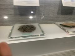 -抚顺煤矿博物馆