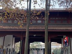 -堤角公园
