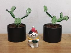 -无牌咖啡&酒馆