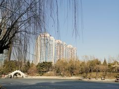 -团结湖公园
