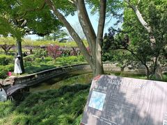 -嘉定紫藤园