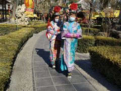 -白家大院·王府宫廷菜(苏州街店)