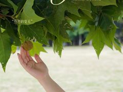 -钟山体育运动公园