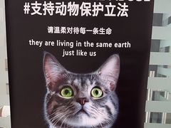 -瑞派雷欧宠物医院·中兽医·眼科·急重症转诊中心(黄台店)