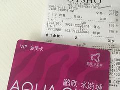 -鹏欣水游城