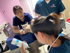 -哆趣宠物医院·眼科·内镜·急重症转诊中心(上海店)