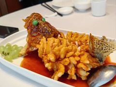 -松鹤楼(狮山永利广场店)
