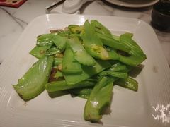 -钟菜·粤菜点心·宴请(海上世界·汇港二期店)