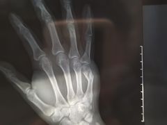 -上海市黄浦区香山中医医院