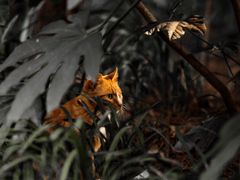 -苏州河梦清园环保主题公园