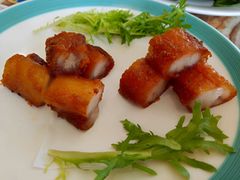 脆皮叉烧-椿记烧鹅(叠彩店)