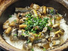 -红星光发煲仔饭(大石街店)