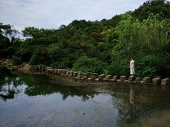 -花溪公园