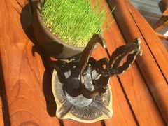 -日惹市凤凰翰悦阁酒店