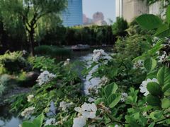 -新虹桥中心花园