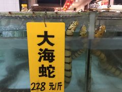 -寻味顺德·南记酒家·传统顺德菜·鱼生(广源路店)