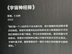 -上海当代艺术博物馆