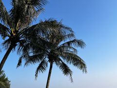 -玫瑰海岸文化旅游度假区