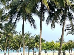 -海南清水湾莱佛士酒店