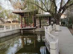 -桃花堤公园