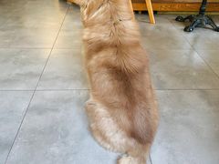 -时间逆·烘焙