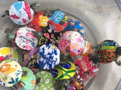 -万商花鸟市场