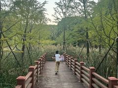 -河南省黄河迎宾馆