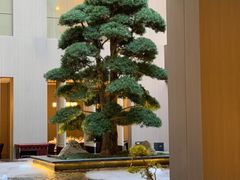 -外滩·云南人家(昆明旗舰店)