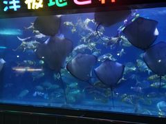 -蓬莱欧乐堡海洋极地世界