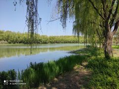 -昆山城市生态森林公园