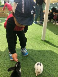 -萌宠亲子动物乐园(槐房万达店)