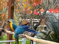 -哈尔滨北方森林动物园