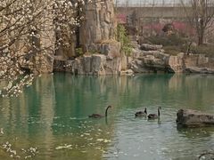 -秀丽东方