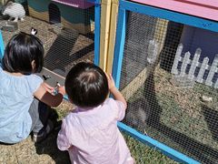 -廊坊固安福朋喜来登酒店