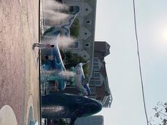 -海合安青岛极地海洋公园
