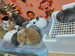 -三旗百汇商品城