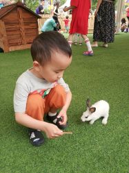 -萌宠亲子动物乐园(槐房万达店)