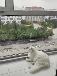 -熙.Hair 丨专注女子中长发丨