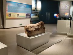 -辽宁古生物博物馆