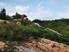 -广东惠东海龟国家级自然保护区