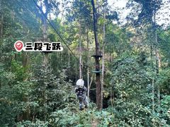 -西双版纳原始森林公园