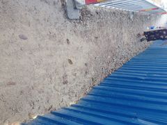 金棕榈酒店-三亚亚龙湾金棕榈度假酒店