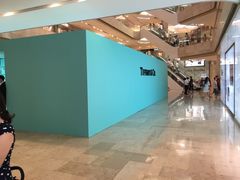 -Tiffany & Co.蒂芙尼
(南京德基广场店)