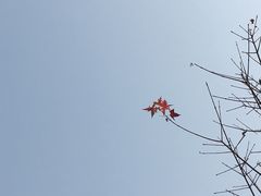 -北京鹫峰国家森林公园